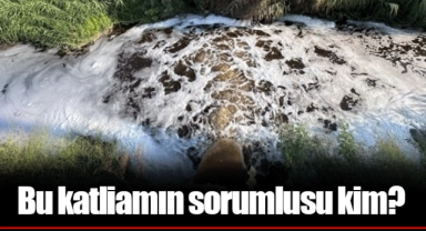 Bu katliamın sorumlusu kim?