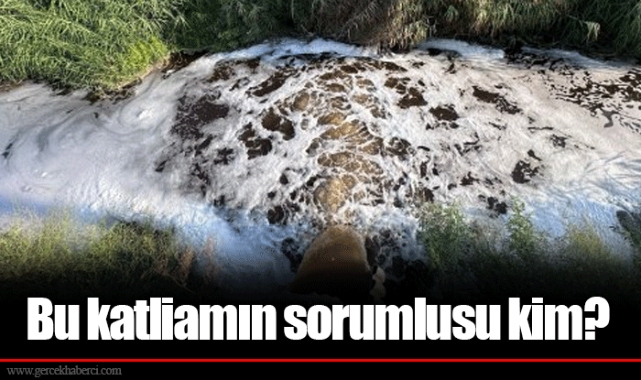 Bu katliamın sorumlusu kim?