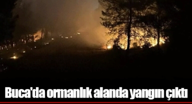 Buca'da ormanlık alanda yangın çıktı