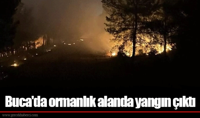 Buca'da ormanlık alanda yangın çıktı