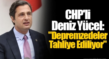 CHP'li Deniz Yücel: