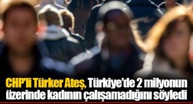 CHP'li Türker Ateş, Türkiye'de 2 milyonun üzerinde kadının çalışamadığını söyledi