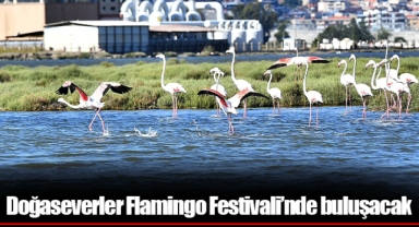 Doğaseverler Flamingo Festivali’nde buluşacak