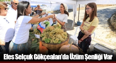 Efes Selçuk Gökçealan’da Üzüm Şenliği Var