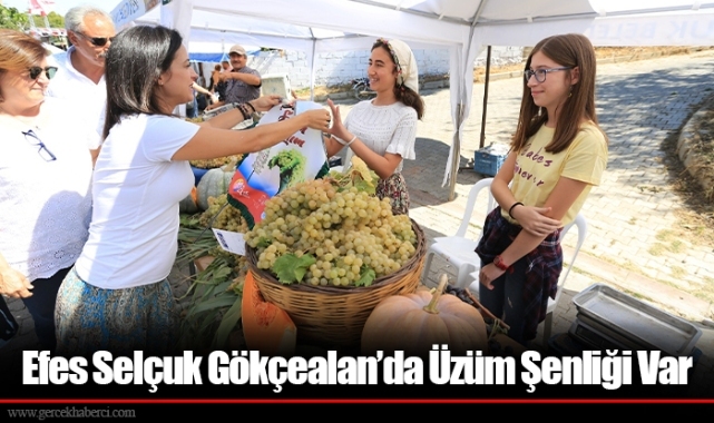 Efes Selçuk Gökçealan’da Üzüm Şenliği Var