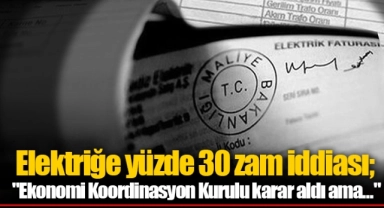 Elektriğe yüzde 30 zam iddiası; "Ekonomi Koordinasyon Kurulu karar aldı ama..."