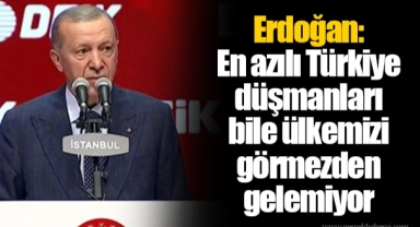 Erdoğan: En azılı Türkiye düşmanları bile ülkemizi görmezden gelemiyor