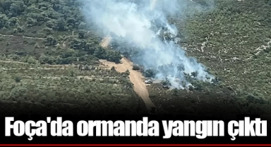 Foça'da ormanda yangın çıktı