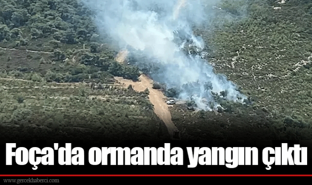 Foça'da ormanda yangın çıktı