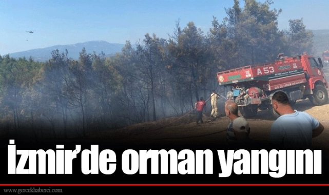 İzmir'de orman yangını
