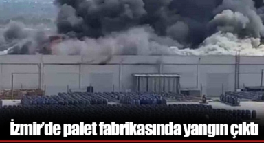 İzmir’de palet fabrikasında yangın çıktı