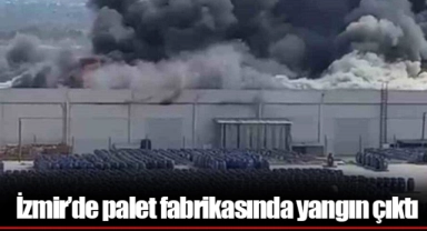 İzmir’de palet fabrikasında yangın çıktı