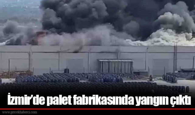 İzmir’de palet fabrikasında yangın çıktı