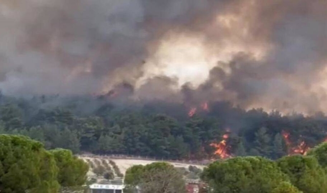 İzmir'deki orman yangını kontrol altına alındı