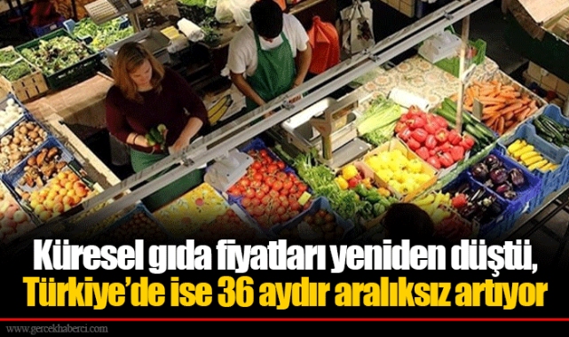 Küresel gıda fiyatları yeniden düştü, Türkiye’de ise 36 aydır aralıksız artıyor