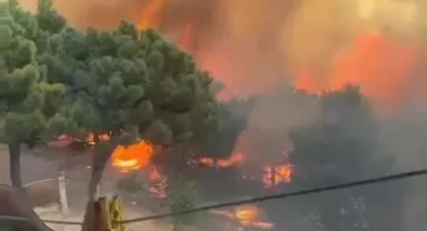 Maltepe'de ormanlık alanda yangın: Alevler evlerin bulunduğu alana yaklaştı