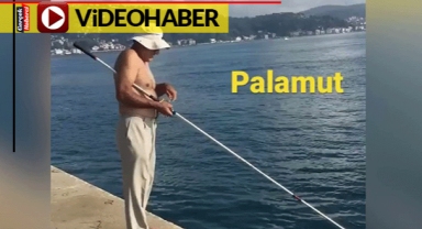 Oltadan kaçarken trafik kazasında öldü
