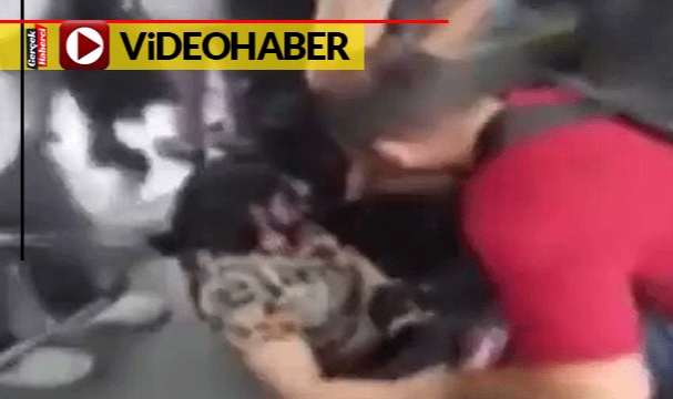 Otobüste iki kadın saç baş birbirine girdi... Çevredekiler ne olduğunu anlamadı