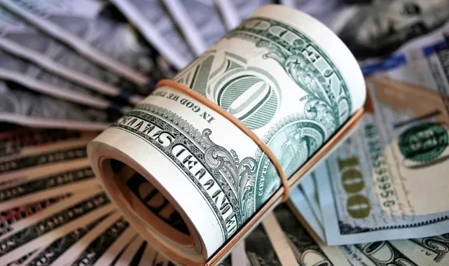 OVP'ye göre dolar/TL öngörüsü dikkat çekti