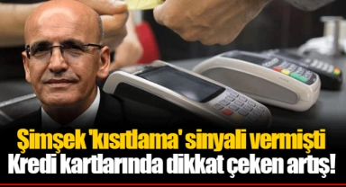 Şimşek 'kısıtlama' sinyali vermişti  Kredi kartlarında dikkat çeken artış!