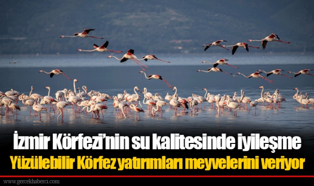 Yüzülebilir Körfez yatırımları meyvelerini veriyor