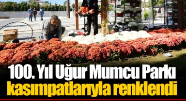 100. Yıl Uğur Mumcu Parkı kasımpatlarıyla renklendi