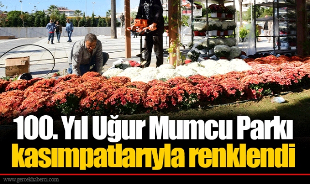 100. Yıl Uğur Mumcu Parkı kasımpatlarıyla renklendi