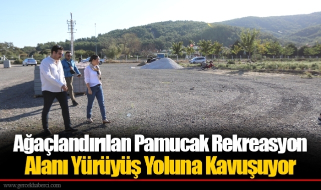 Ağaçlandırılan Pamucak Rekreasyon Alanı Yürüyüş Yoluna Kavuşuyor