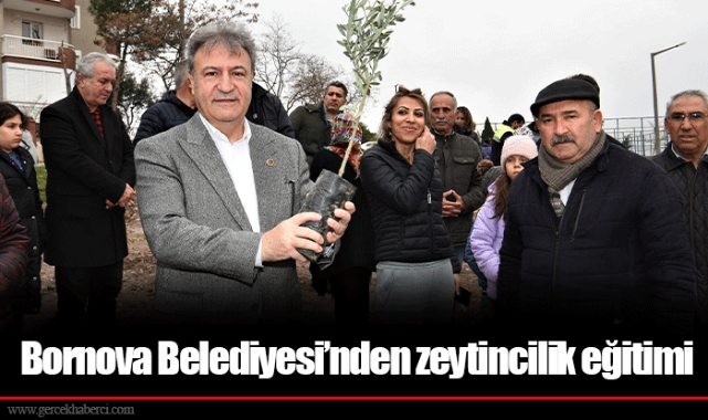 Bornova Belediyesi’nden zeytincilik eğitimi
