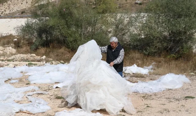 Boş arazide çok sayıda gelinlik bulundu