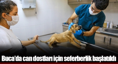 Buca’da can dostları için seferberlik başlatıldı