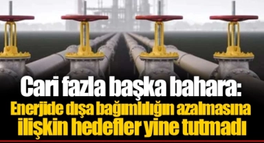 Cari fazla başka bahara: Enerjide dışa bağımlılığın azalmasına ilişkin hedefler yine tutmadı