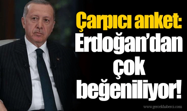 Çarpıcı anket: Erdoğan’dan çok beğeniliyor!
