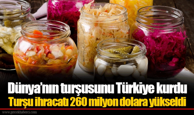 Dünya’nın turşusunu Türkiye kurdu 