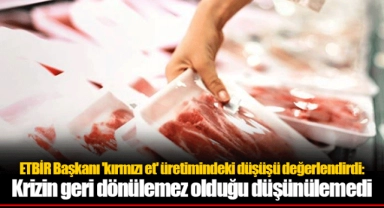 ETBİR Başkanı 'kırmızı et' üretimindeki düşüşü değerlendirdi: Krizin geri dönülemez olduğu düşünülemedi