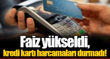Faiz yükseldi, kredi kartı harcamaları durmadı!
