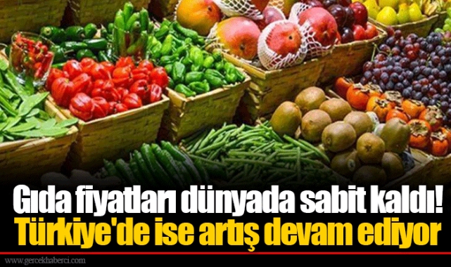Gıda fiyatları dünyada sabit kaldı! Türkiye'de ise artış devam ediyor