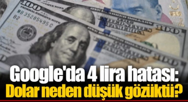 Google'da 4 lira hatası: Dolar neden düşük gözüktü?