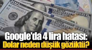 Google'da 4 lira hatası: Dolar neden düşük gözüktü?