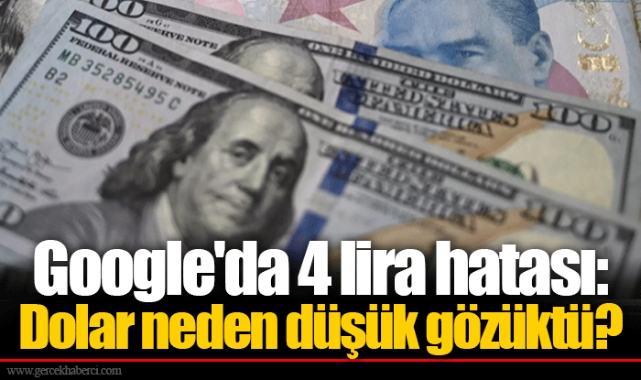 Google'da 4 lira hatası: Dolar neden düşük gözüktü?