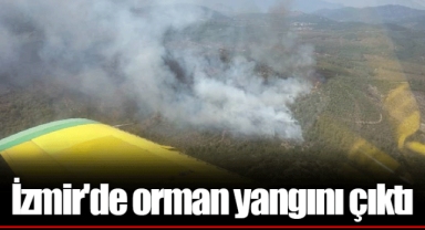 İzmir'de orman yangını çıktı