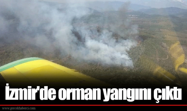 İzmir'de orman yangını çıktı