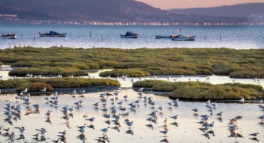 İzmir ve Lubliyana kuraklığa karşı güçlerini birleştirecek