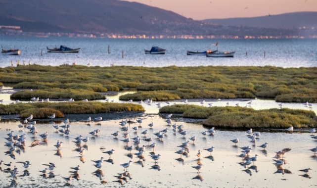 İzmir ve Lubliyana kuraklığa karşı güçlerini birleştirecek