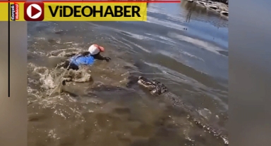 Korkusuz kadın timsah dolu gölete atladı... O anları izleyen ziyaretçiler baka kaldı