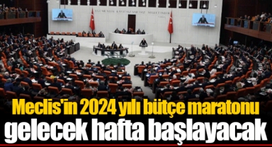 Meclis'in 2024 yılı bütçe maratonu gelecek hafta başlayacak