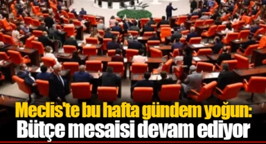 Meclis'te bu hafta gündem yoğun: Bütçe mesaisi devam ediyor