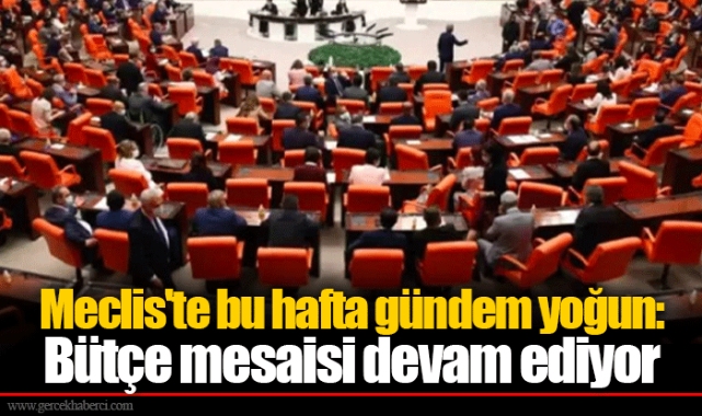Meclis'te bu hafta gündem yoğun: Bütçe mesaisi devam ediyor