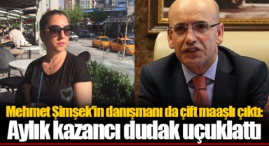 Mehmet Şimşek'in danışmanı da çift maaşlı çıktı: Aylık kazancı dudak uçuklattı