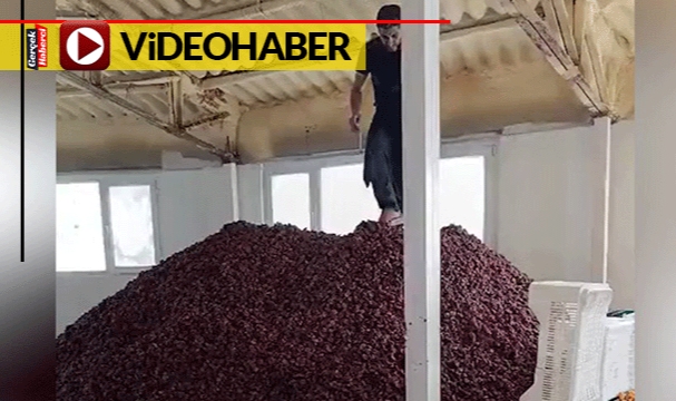 O görüntülerin sahibine ceza: Tamı tamına 3 tonluk israf